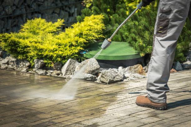 Best Soft Washing for Delicate Surfaces in Riverton, IL